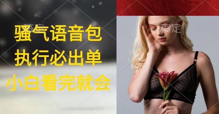 (9589期)执行就出单，日入2000+，超火骚气语音包，小白看完课程就能马上实操-铜臭网