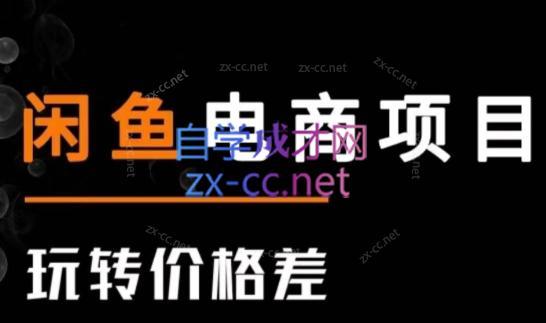 亿创繁星·闲鱼电商项目(玩转价格差)-铜臭网