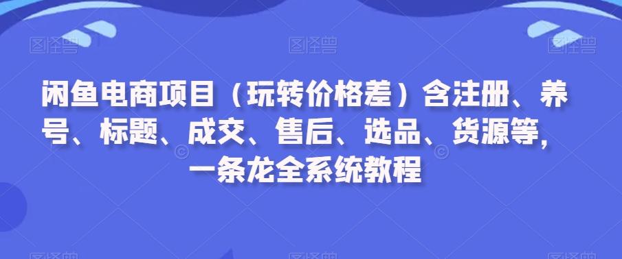 闲鱼电商项目(玩转价格差)含注册、养号、标题、成交、售后、选品、货源等，一条龙全系统教程-铜臭网