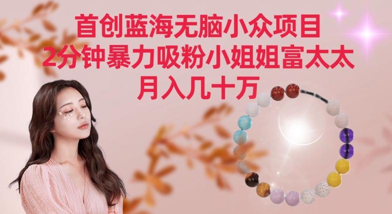 首创蓝海无脑小众项目，2分钟暴力吸粉小姐姐富太太，月入几十万【揭秘】-铜臭网