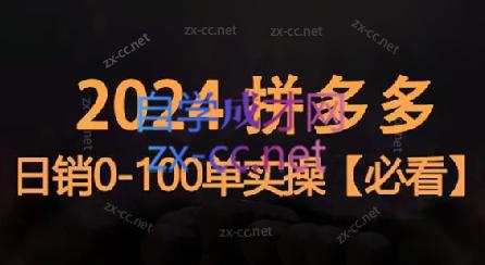 恒哥·2024拼多多日销0-100单实操-铜臭网