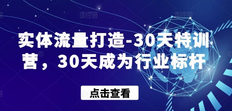 实体流量打造-30天特训营，30天成为行业标杆-铜臭网