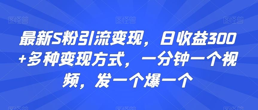 最新S粉引流变现，日收益300+多种变现方式，一分钟一个视频，发一个爆一个【揭秘】-铜臭网