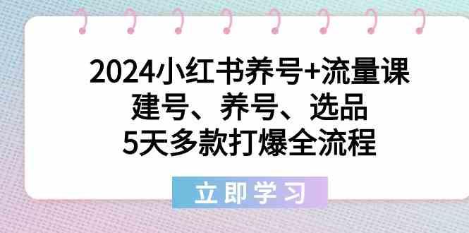 2024小红书养号+流量课：建号、养号、选品，5天多款打爆全流程-铜臭网