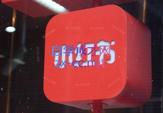 伊伊·红薯【高级班】运营课-铜臭网