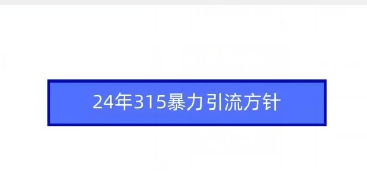 24年315暴力引流方针-铜臭网
