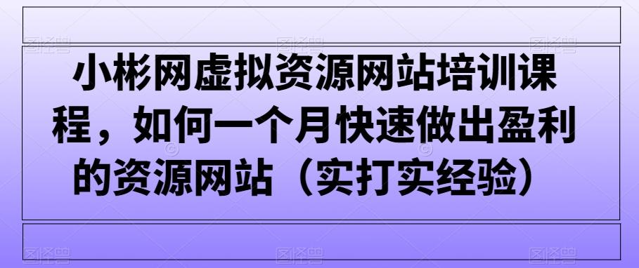 小彬网虚拟资源网站培训课程，如何一个月快速做出盈利的资源网站(实打实经验)-铜臭网