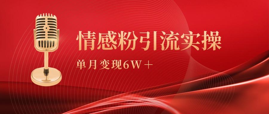 (9473期)单月变现6w+，情感粉引流变现实操课-铜臭网