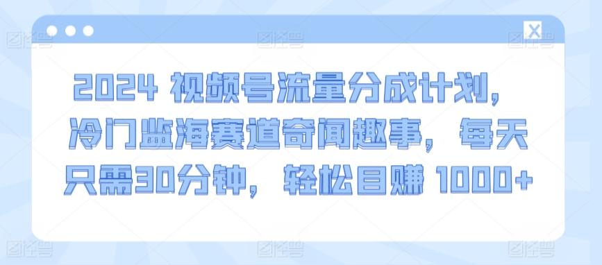 2024视频号流量分成计划，冷门监海赛道奇闻趣事，每天只需30分钟，轻松目赚 1000+【揭秘】-铜臭网