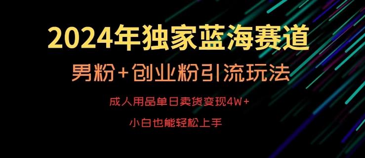 2024年独家蓝海赛道，成人用品单日卖货变现4W+，男粉+创业粉引流玩法，不愁搞不到流量【揭秘】-铜臭网