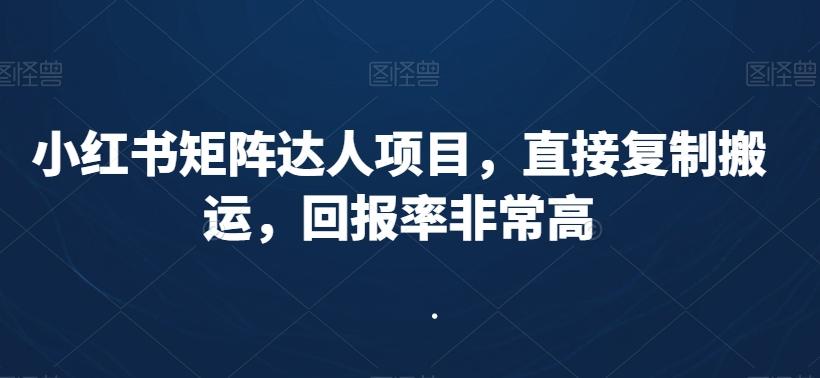 小红书矩阵达人项目，直接复制搬运，回报率非常高-铜臭网