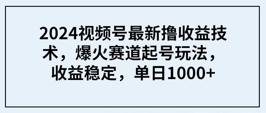 (9651期) 2024视频号最新撸收益技术，爆火赛道起号玩法，收益稳定，单日1000+-铜臭网