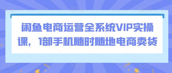 闲鱼电商运营全系统VIP实操课，1部手机随时随地电商卖货-铜臭网