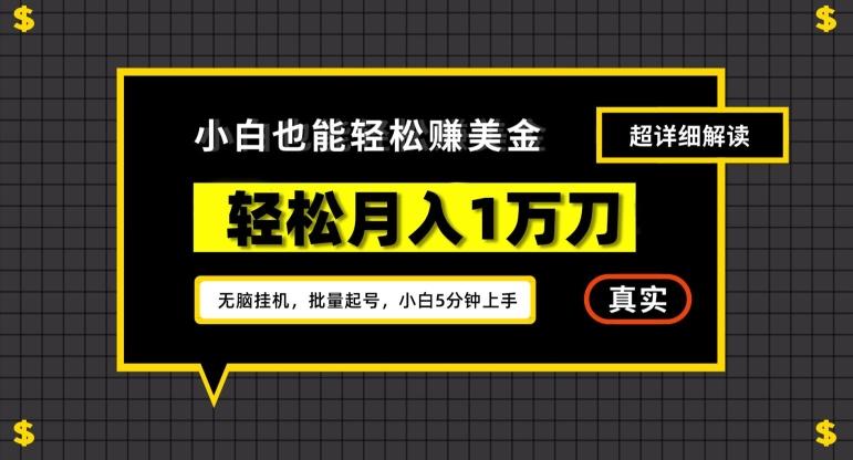谷歌看广告撸美金2.0，无脑挂机，多号操作，月入1万刀【揭秘】-铜臭网