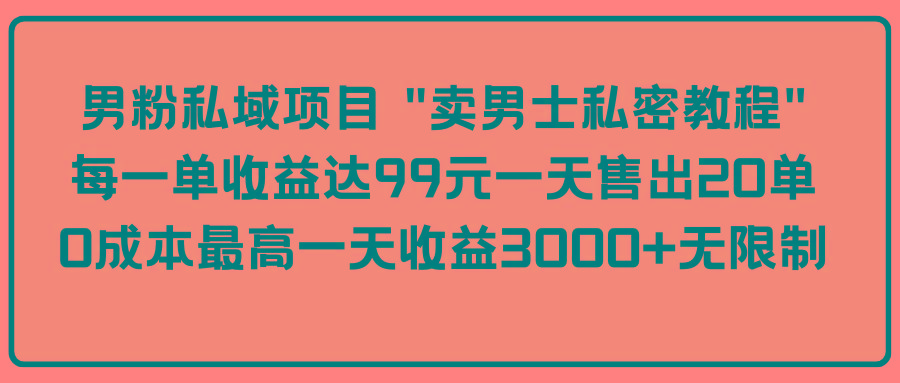 (9730期)男粉私域项目 “卖男士私密教程” 每一单收益达99元一天售出20单-铜臭网