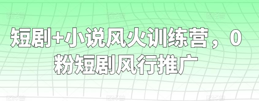 短剧+小说风火训练营，0粉短剧风行推广-铜臭网