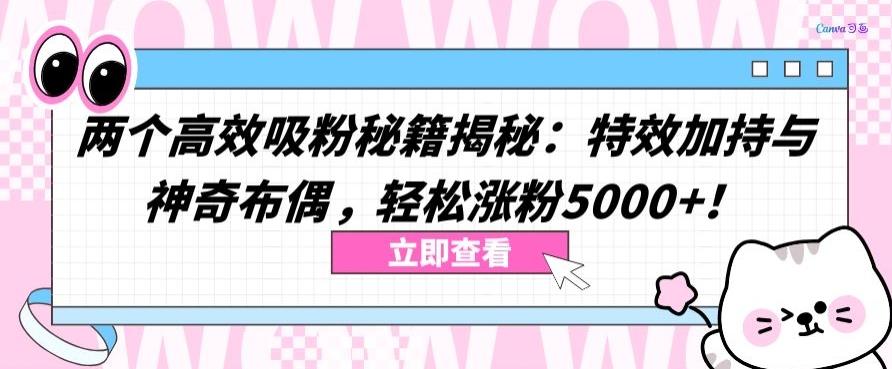 两个高效吸粉秘籍揭秘：特效加持与神奇布偶，轻松涨粉5000+【揭秘】-铜臭网