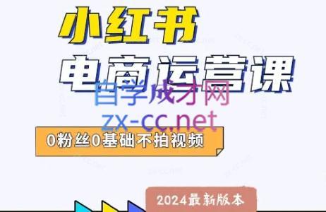 达哥·小红书电商运营(2024版)-铜臭网