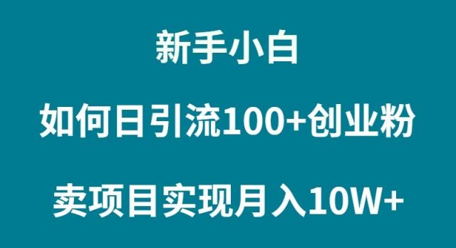 (9556期)新手小白如何通过卖项目实现月入10W+-铜臭网