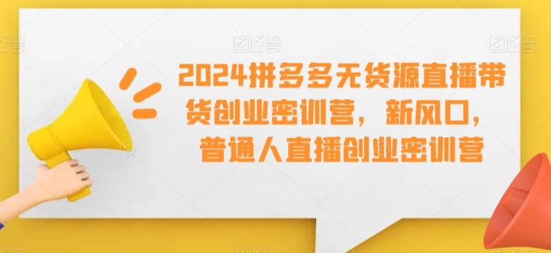 2024拼多多无货源直播带货创业密训营，新风口，普通人直播创业密训营-铜臭网