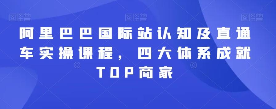 阿里巴巴国际站认知及直通车实操课程,四大体系成就TOP商家