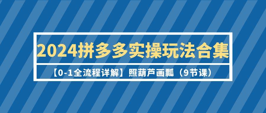 (9559期)2024拼多多实操玩法合集【0-1全流程详解】照葫芦画瓢(9节课)-铜臭网