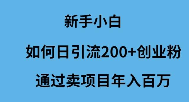 (9668期)新手小白如何日引流200+创业粉通过卖项目年入百万-铜臭网
