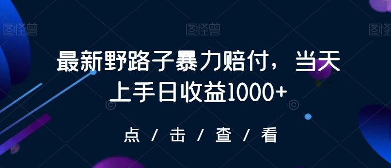 最新野路子暴力赔付，当天上手日收益1000+【仅揭秘】-铜臭网