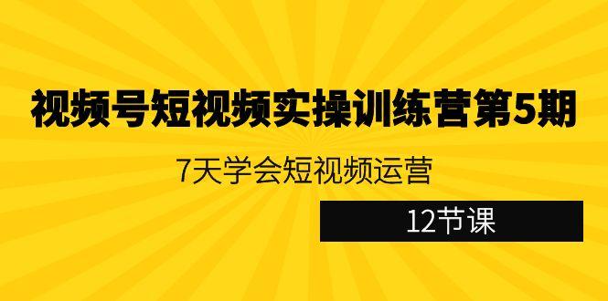 视频号短视频实操训练营第5期：7天学会短视频运营(12节课)-铜臭网