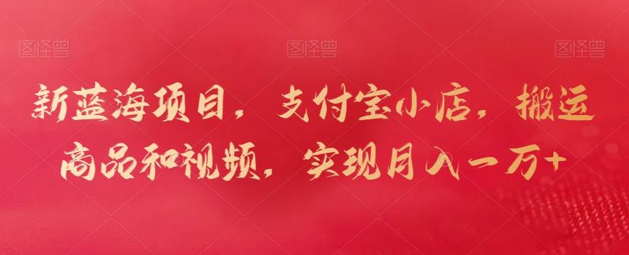 新蓝海项目，支付宝小店，搬运商品和视频，实现月入一万+【揭秘】-铜臭网