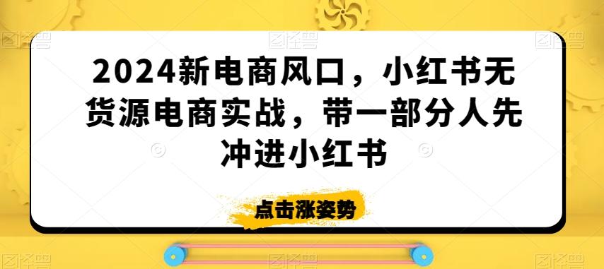 2024新电商风口，小红书无货源电商实战，带一部分人先冲进小红书-铜臭网