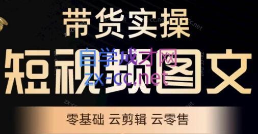 鑫哥·2024零基础短视频带货实操营-铜臭网