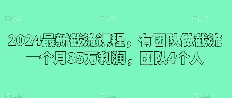 2024最新截流课程，有团队做截流一个月35万利润，团队4个人-铜臭网