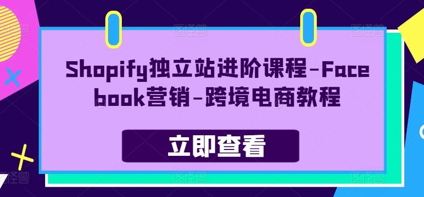 Shopify独立站进阶课程-Facebook营销-跨境电商教程-铜臭网
