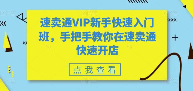 速卖通VIP新手快速入门班，手把手教你在速卖通快速开店-铜臭网