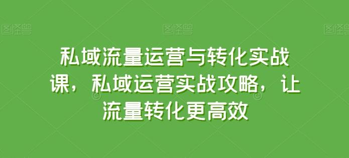 私域流量运营与转化实战课，私域运营实战攻略，让流量转化更高效-铜臭网