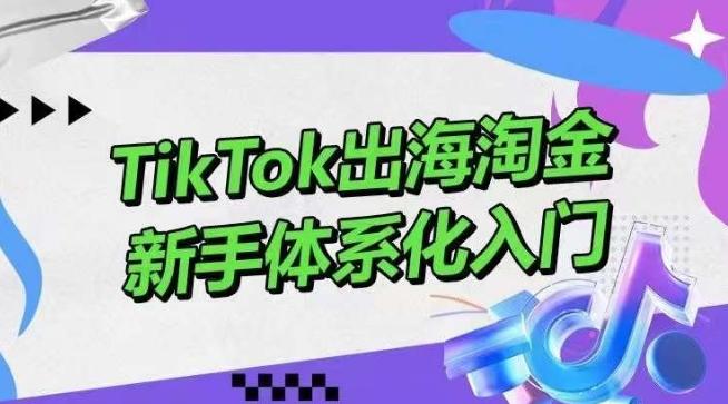 TikTok出海淘金，新手体系化入门，零基础快速入门，掌握短视频、直播带货等引流到变现的知识-铜臭网