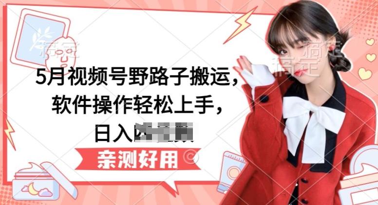 5月视频号野路子搬运，软件操作轻松上手，日入三位数【揭秘】-铜臭网
