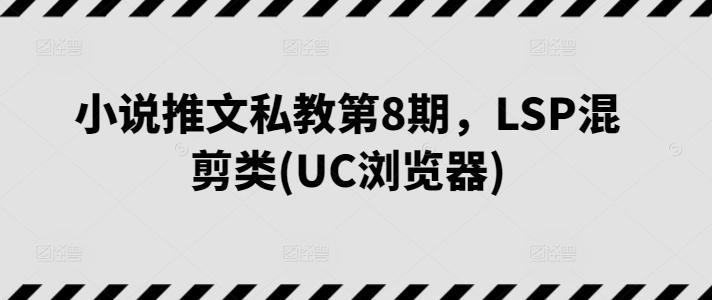小说推文私教第8期，LSP混剪类(UC浏览器)-铜臭网