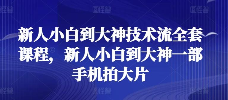 新人小白到大神技术流全套课程，新人小白到大神一部手机拍大片-铜臭网