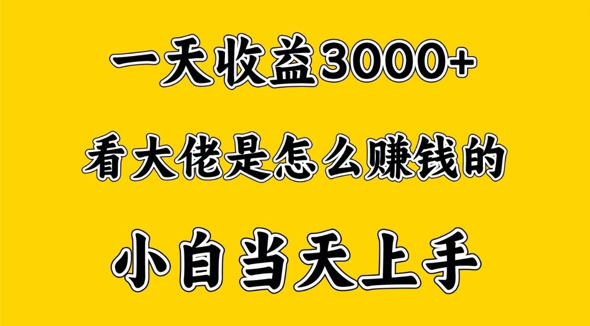 一天赚3000多，大佬是这样赚到钱的，小白当天上手，穷人翻身项目-铜臭网