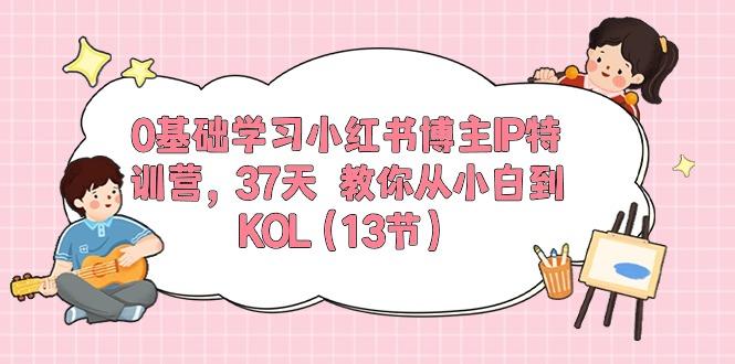 0基础学习小红书博主IP特训营，37天 教你从小白到KOL(13节-铜臭网