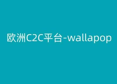欧洲C2C平台-wallapop-kim跨境电商教程-铜臭网