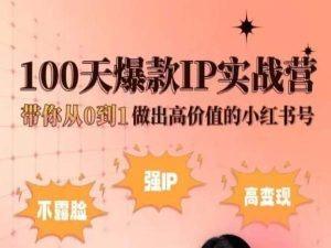 小红书100天爆款IP实战营，带你从0到1做出高价值的小红书号-铜臭网