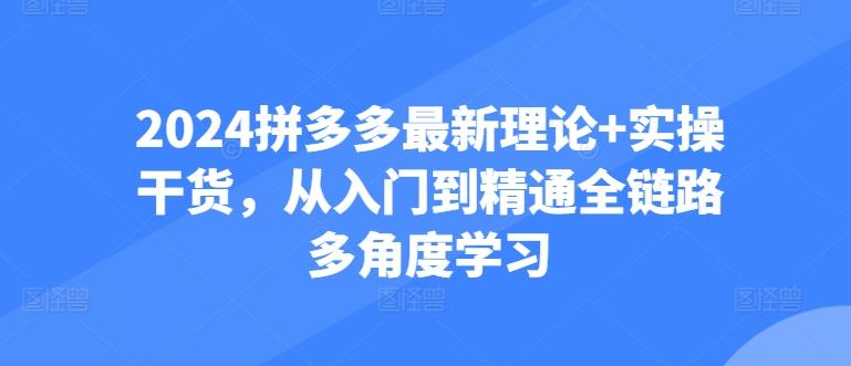 2024拼多多最新理论+实操干货，从入门到精通全链路多角度学习-铜臭网