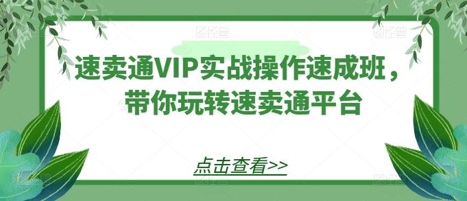 速卖通VIP实战操作速成班，带你玩转速卖通平台-铜臭网