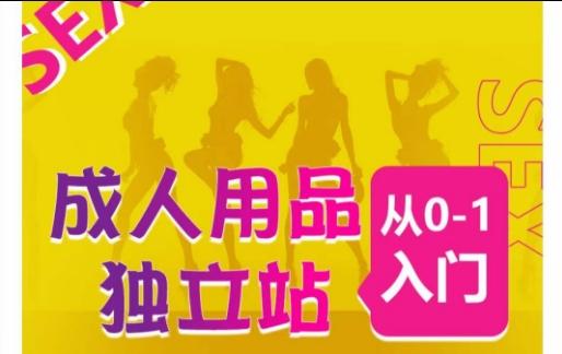 成人用品独立站从0-1入门，成品独立站运营全流程教学，七大好卖成品独立站推荐-铜臭网