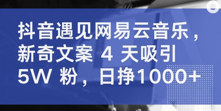 抖音遇见网易云音乐，新奇文案 4 天吸引 5W 粉，日挣1000+【揭秘】-铜臭网