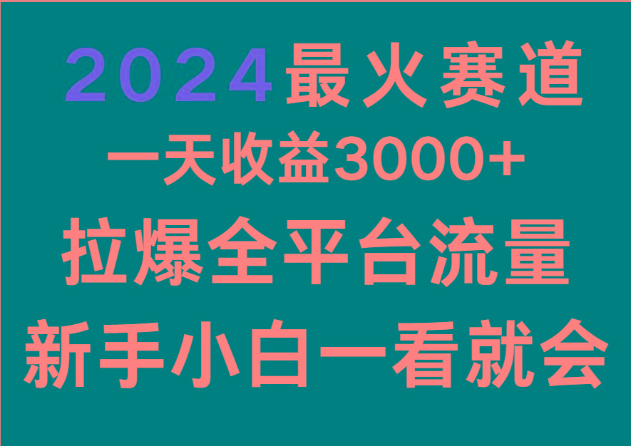 2024最火赛道，一天收一3000+.拉爆全平台流量，新手小白一看就会-铜臭网
