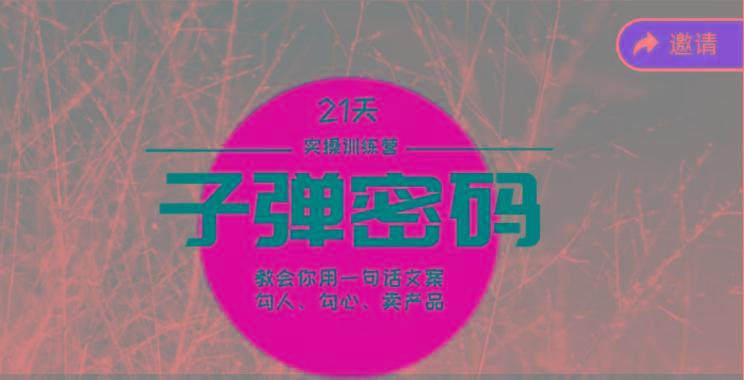 《子弹密码训练营》-用一句话文案勾人勾心卖产品，21天学到顶尖文案大师策略和技巧-铜臭网